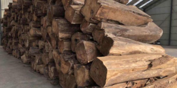 Nigerian hedgehog red sandalwood import customs clearance case